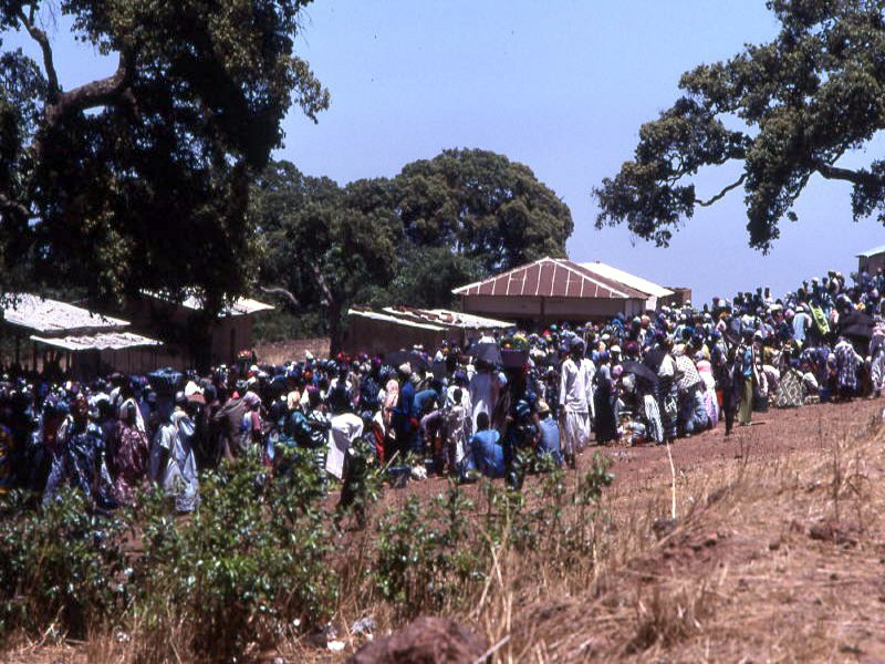 Pictures from Guinea