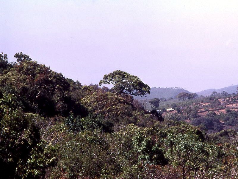 Pictures from Guinea