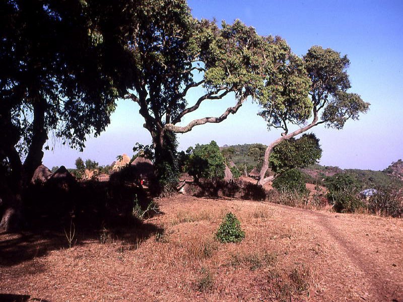 Pictures from Guinea