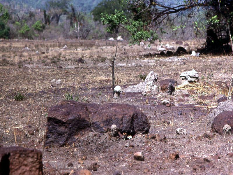 Pictures from Guinea