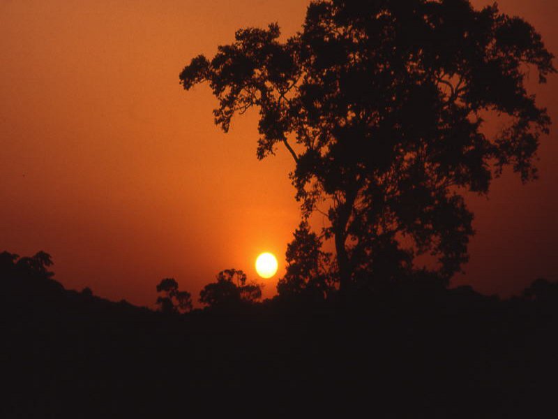 Pictures from Guinea