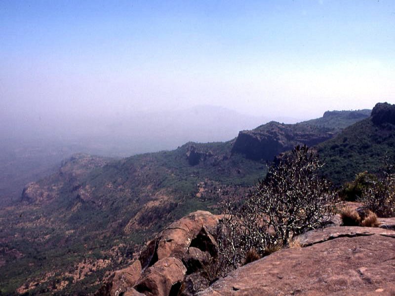 Pictures from Guinea