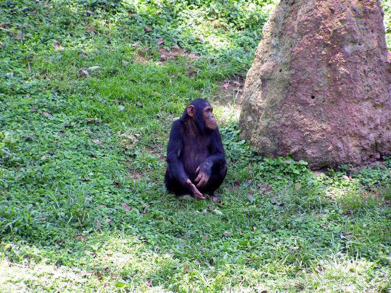 pictures from Uganda