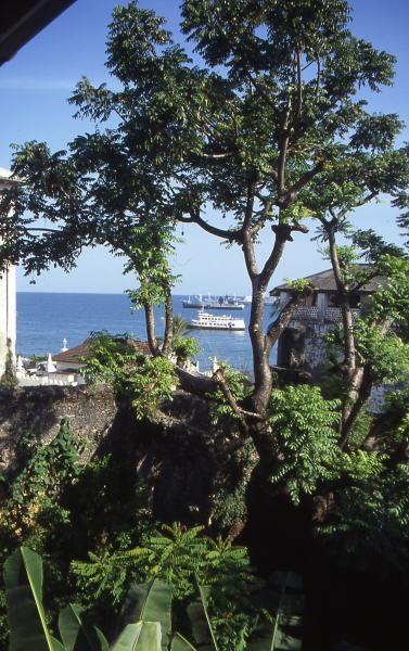 pictures from Zanzibar