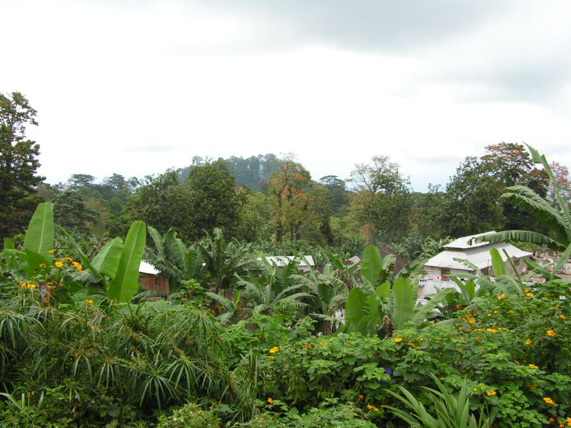 Pictures from Sao Tome