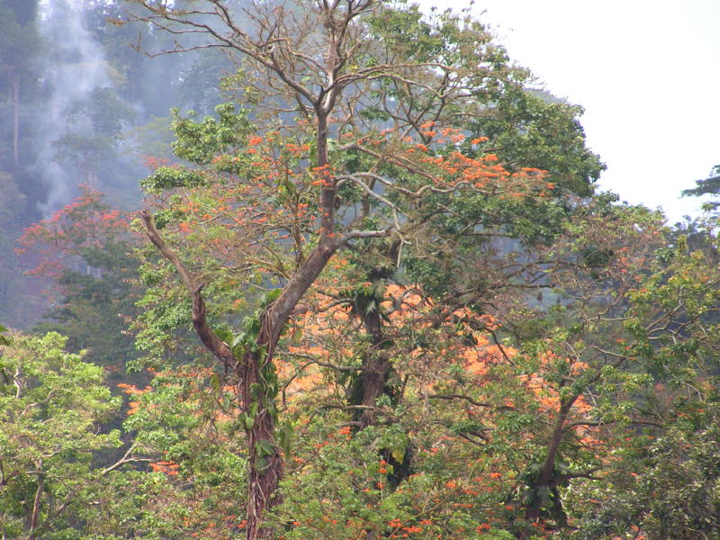 Pictures from Sao Tome