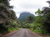 Pictures from Sao Tome