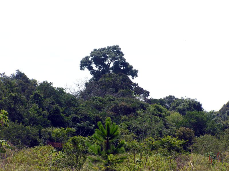 Pictures from Argentina