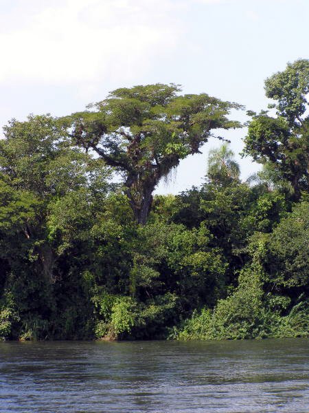 Pictures from Argentina