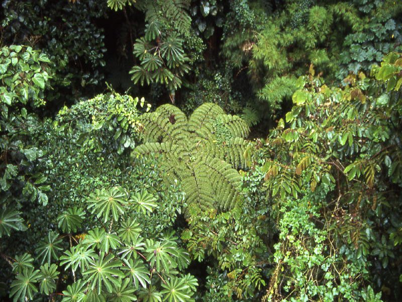 Pictures from Costa Rica