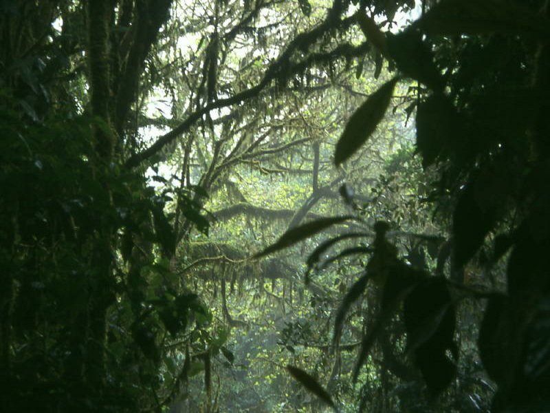 Pictures from Costa Rica