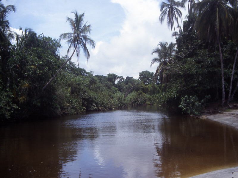 Pictures from Costa Rica