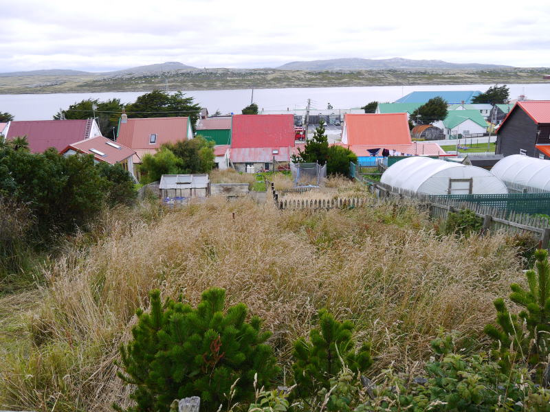 Falkland Islands