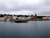 Pictures from Falkland Islands
