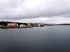 Pictures from Falkland Islands
