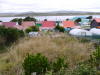 Pictures from Falkland Islands