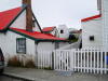Pictures from Falkland Islands
