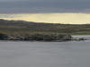 Pictures from Falkland Islands