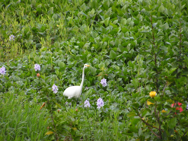 Pictures from Guatemala