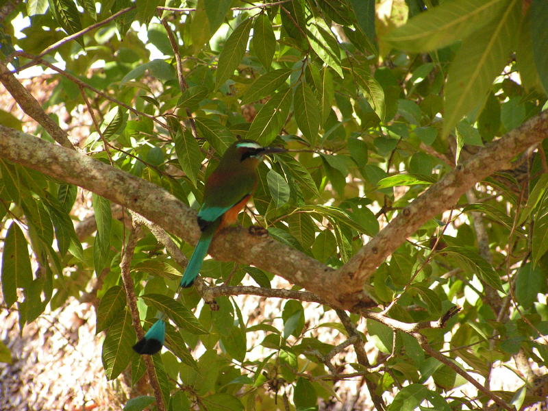 Pictures from Mexico