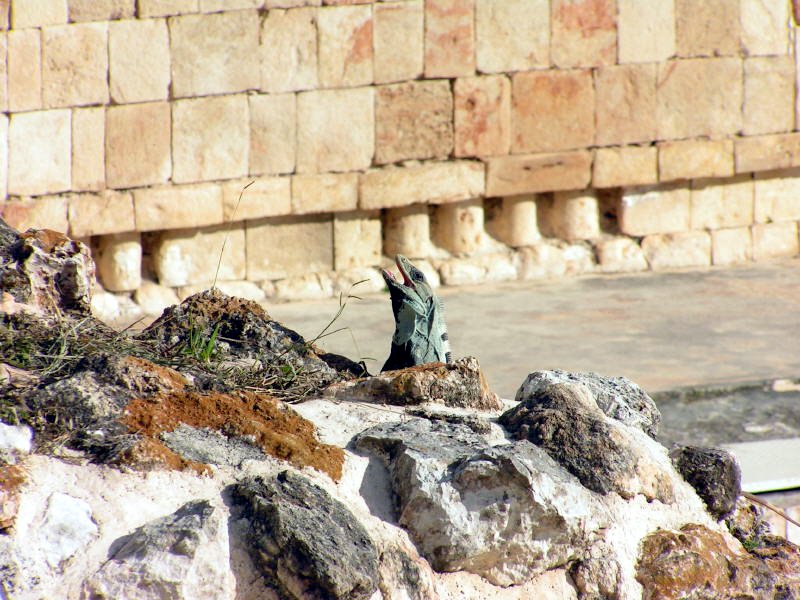 Pictures from Mexico