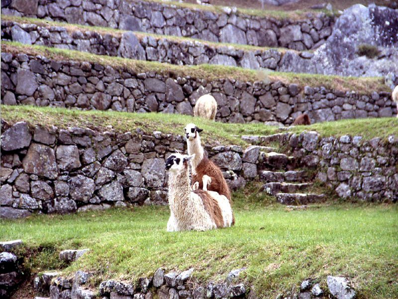 Pictures from Peru