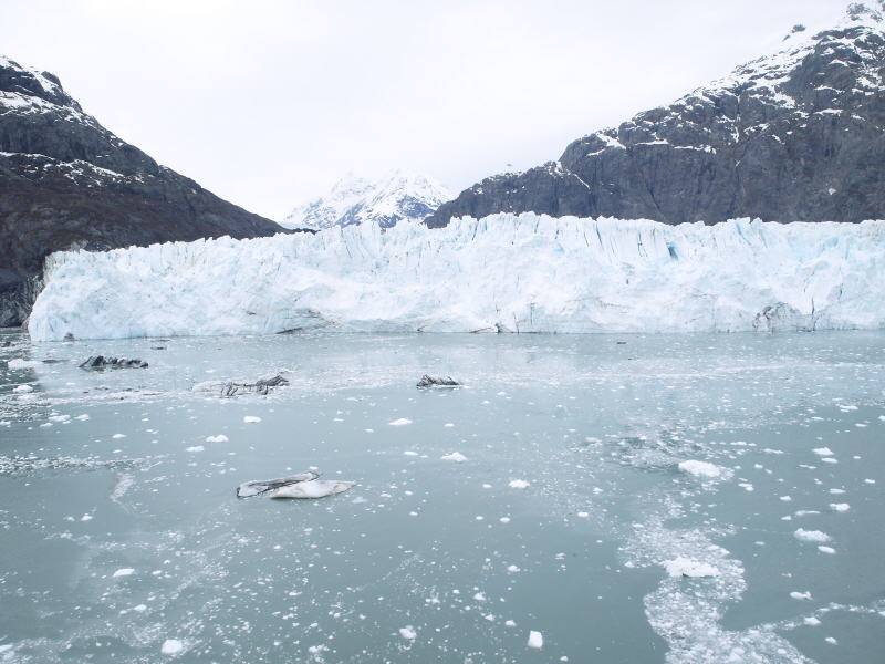 Pictures from Alaska