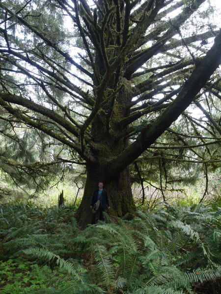 Pictures from Oregon