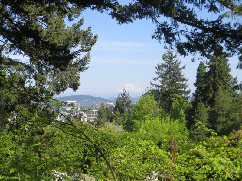 Pictures from Oregon