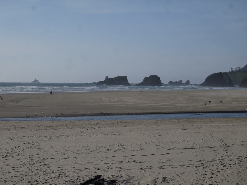 Pictures from Oregon