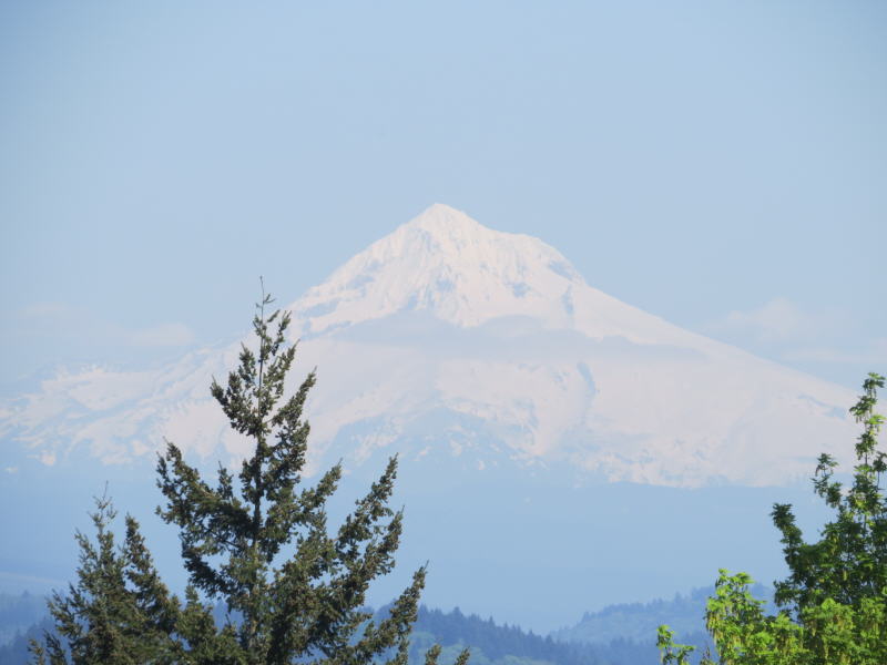 Pictures from Oregon