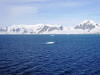 Pictures from Antarctica