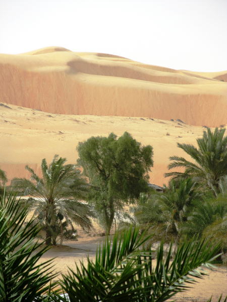 Pictures from Abu Dhabi 2011