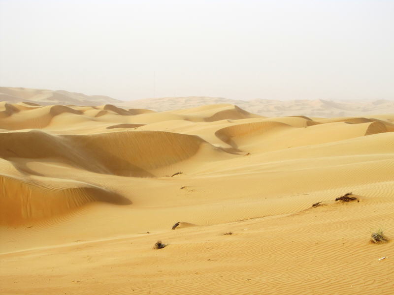 Pictures from Abu Dhabi 2011