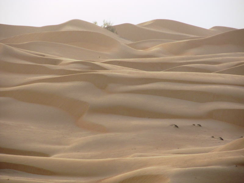 Pictures from Abu Dhabi 2011