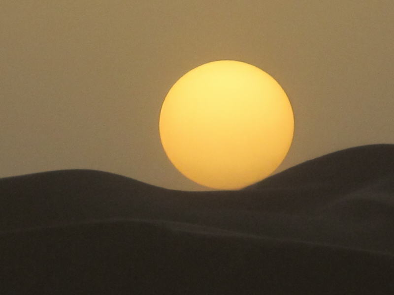 Pictures from Abu Dhabi 2011