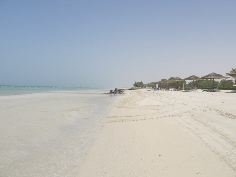 Pictures from Abu Dhabi 2011