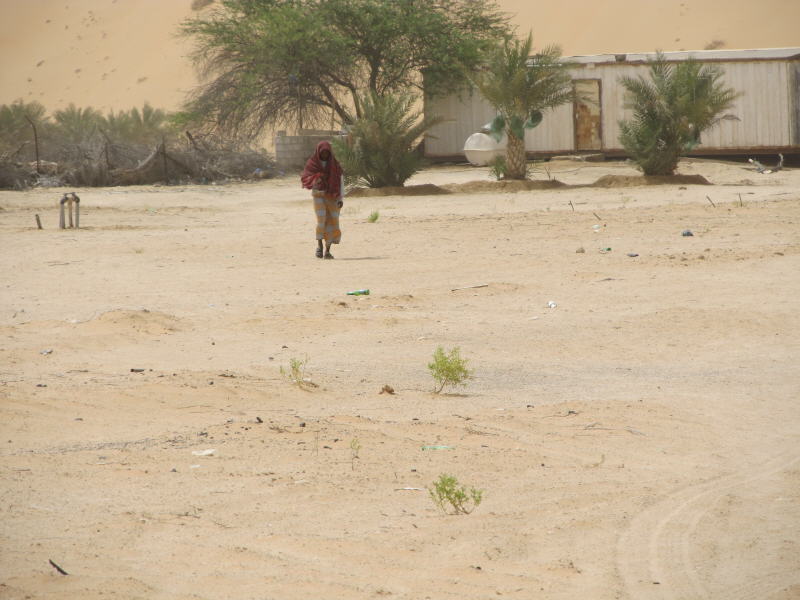 Pictures from Abu Dhabi 2011