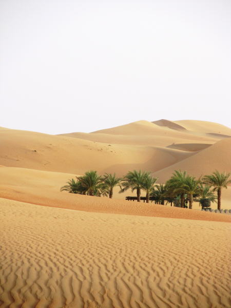 Pictures from Abu Dhabi 2012