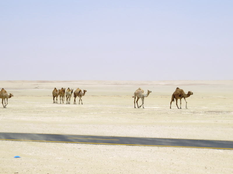 Pictures from Abu Dhabi 2015