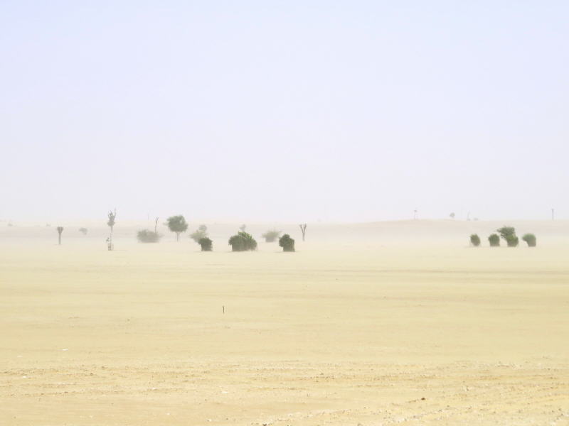 Pictures from Abu Dhabi 2015