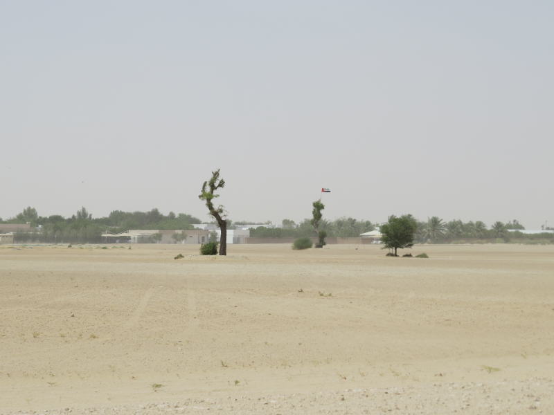 Pictures from Abu Dhabi 2015