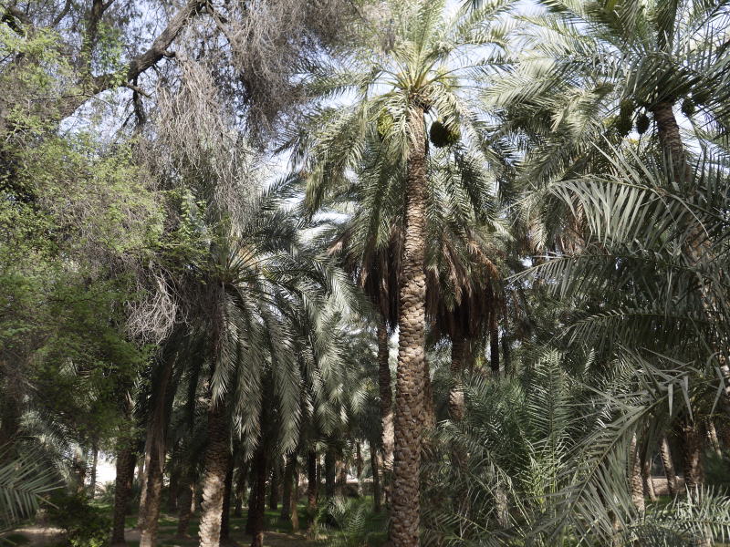 Pictures from Abu Dhabi 2015