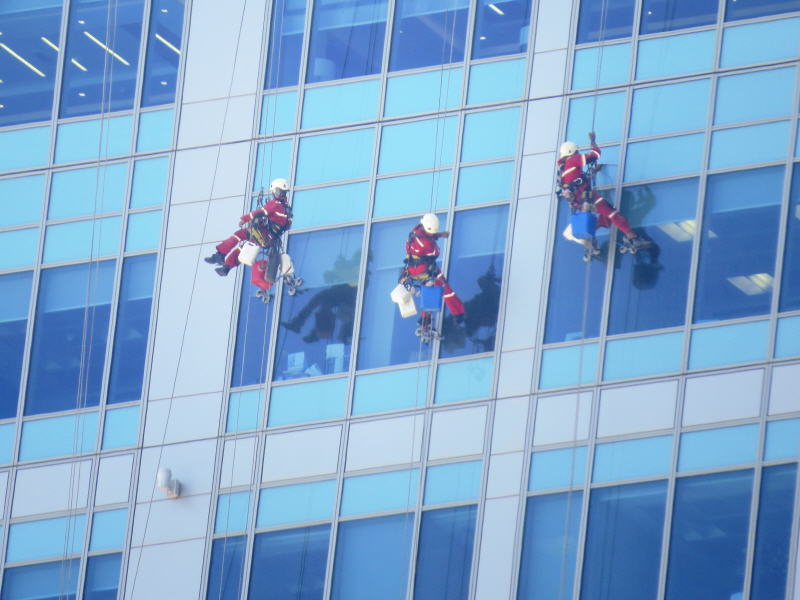 Pictures from Abu Dhabi 2016