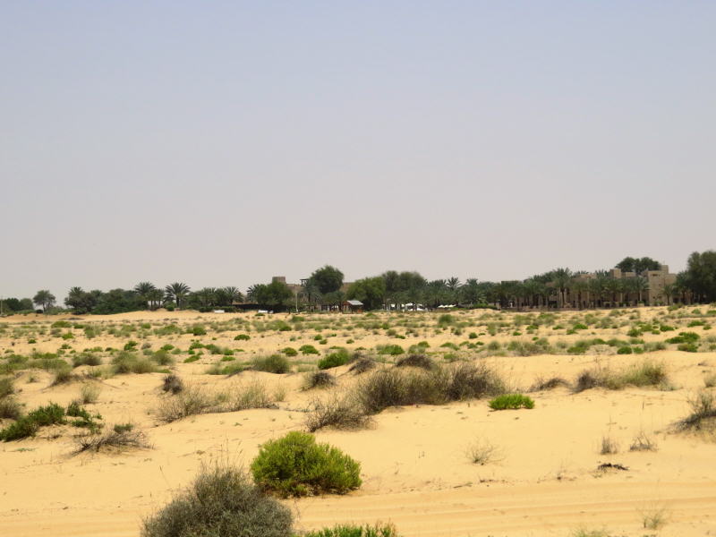 Pictures from Dubai 2014