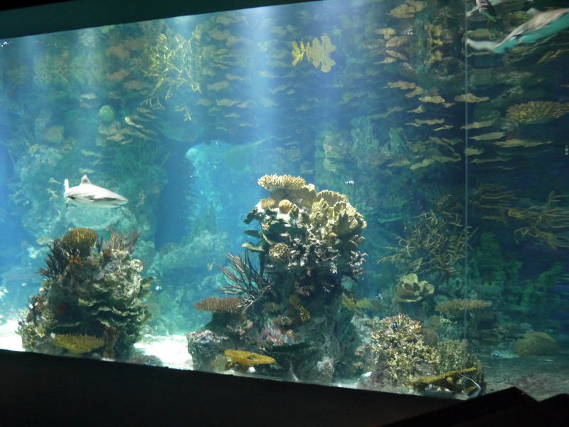 Pictures from Kuwait