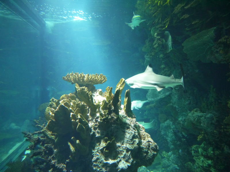 Pictures from Kuwait