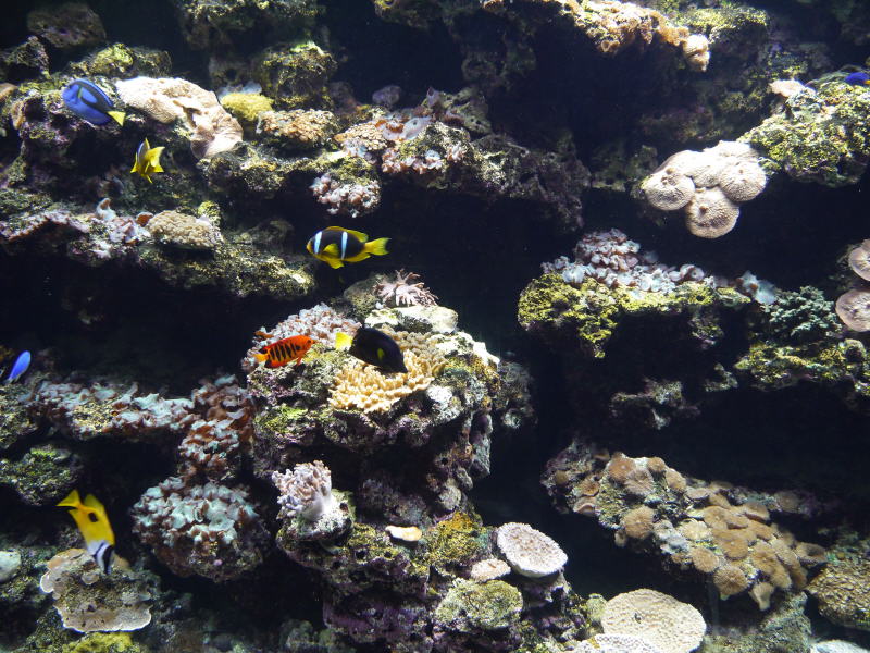 Pictures from Kuwait