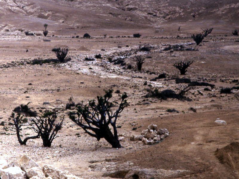 Pictures from Oman