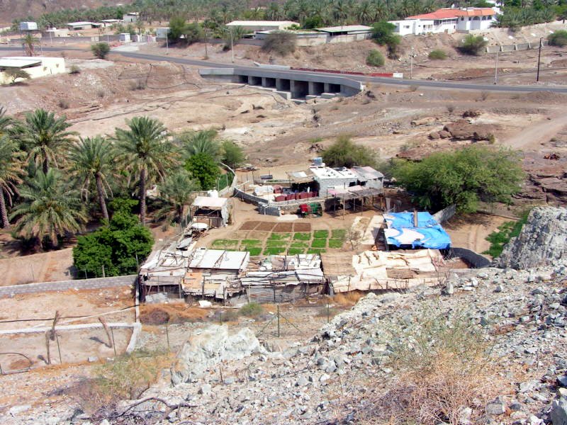 Pictures from the UAE